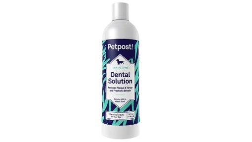 Solución dental para perros