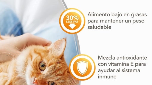 Los mejores piensos para gatos que puedes comprar