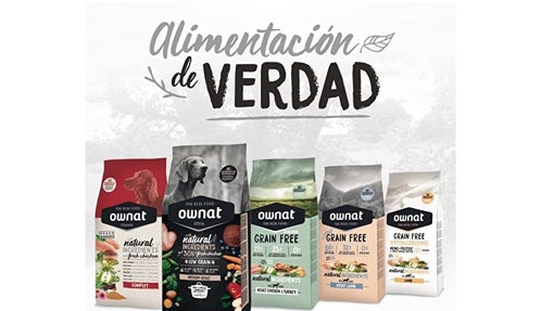 Los mejores piensos para perros Senior y de edad avanzada