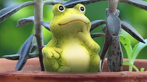 Dispensadores de agua para plantas