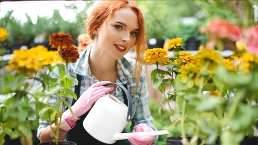 Abono líquido concentrado para plantas y flores