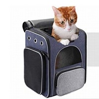 Imagen - Una mochila para llevar al gato
