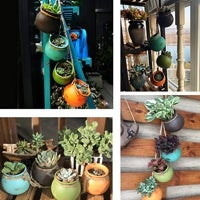 Imagen - Maceteros para cactus