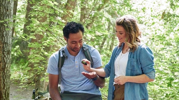 Antimosquitos naturales: ideas y remedios para mantener alejados a los mosquitos