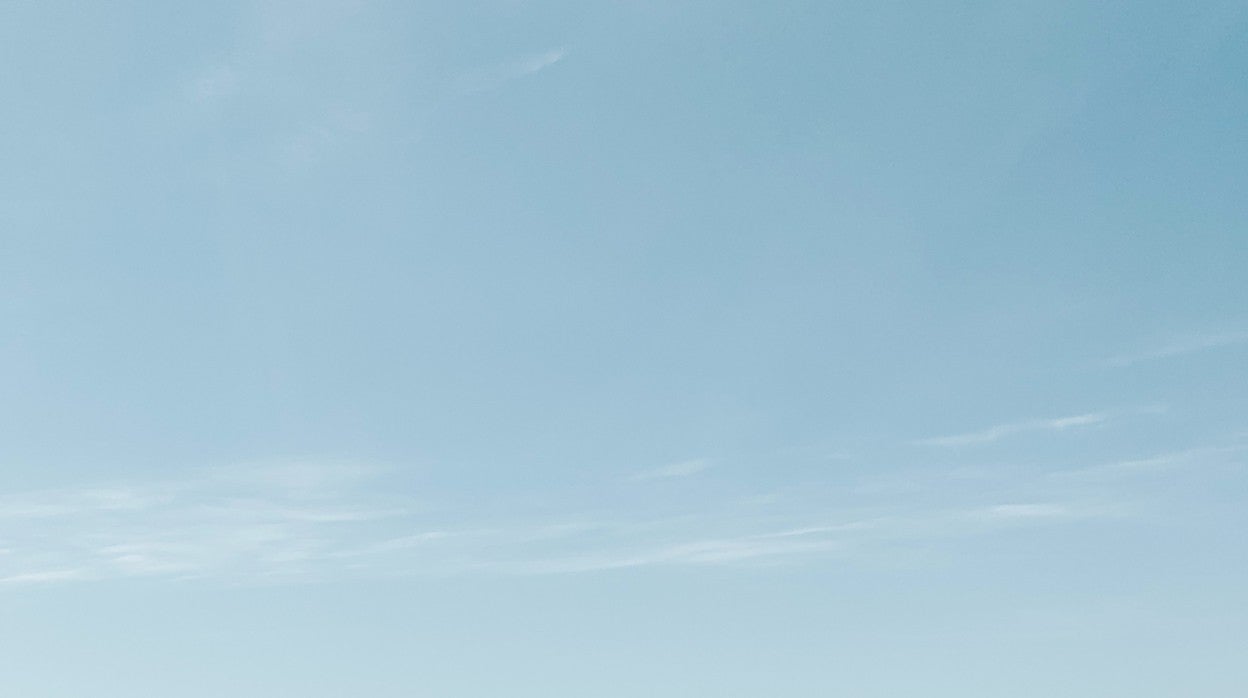 Tumbonas y sombrillas en la playa