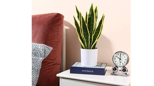 Kazeila Mini Plantas Falsas en Maceta