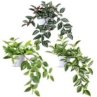 Imagen - SOGUYI Plantas Artificiales 38cm