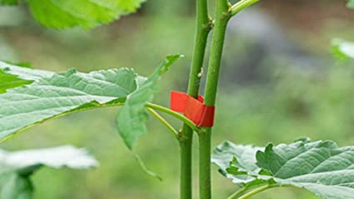 Smyidel Máquina para Atar Plantas