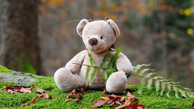 ¿Cómo elegir el mejor peluche para tus peques? Te lo explicamos y te damos ideas