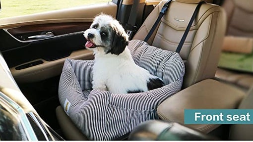 Colocación del asiento para perros