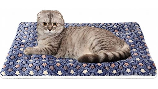 Gato sobre manta de estrellas