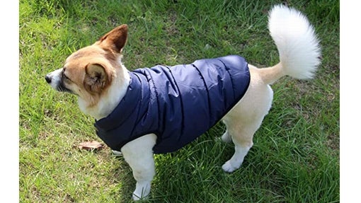 Perro con forro polar