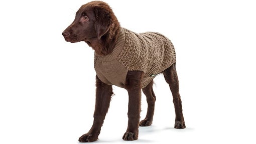 Jersey para perro color marrón