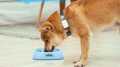 Comedero antivoracidad para perros - Nobleza