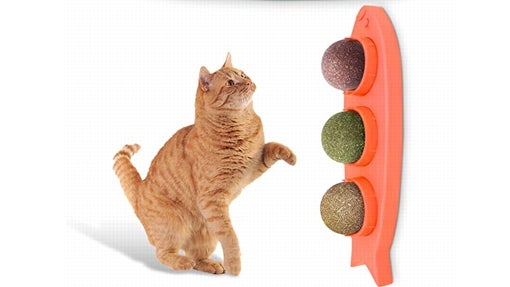 Bolas de hierba para cuidado dental de gatos