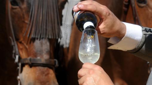 Los porqués de la Feria de Abril que debes conocer para ser un feriante ilustrado