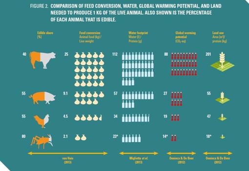 Comparación de los diferentes recursos necesarios (alimentación, agua, potencial calentamiento global y superficie de explotación) para generar un kilo de proteína pura de diferente origen animal