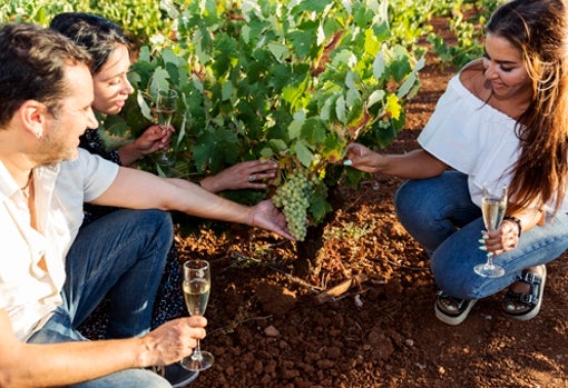 Cita con el Cava de Almendralejo