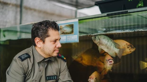 'Gastroacuaponía': ¿puede un restaurante autoabastecerse del 90% del producto que necesita?