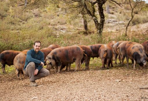 Francis García Pavón con sus animales en su dehesa de Huelva.