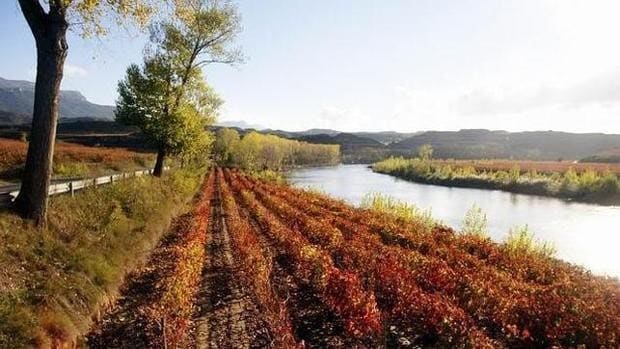 Andreas Kubach: «Si no se cambia el modelo actual, el futuro de la Rioja Alavesa será insostenible»