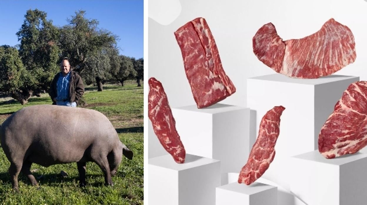 A la izquierda uno de los cerdos de Joselito durante el periodo de montanera. A la derecha, los diferentes cortes de carne fresca de cerdo ibérico que ofrece esa casa