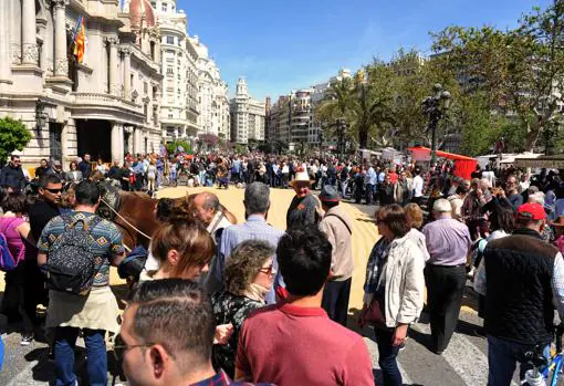 Sequer urbano, en la Plaza del Ayuntamiento de Valencia, en una imagen de archivo