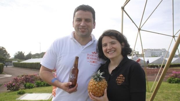 Cerveza de piña de las Azores: la última idea para revalorizar la única plantación de esta fruta en Europa