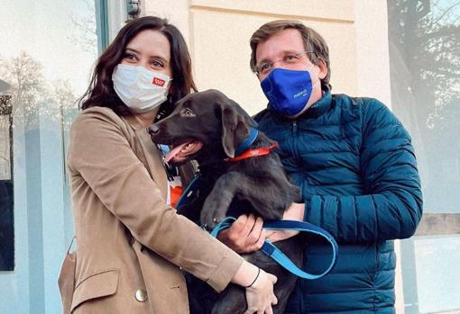 Isabel Díaz Ayuso y José Luis Martínez-Almeida