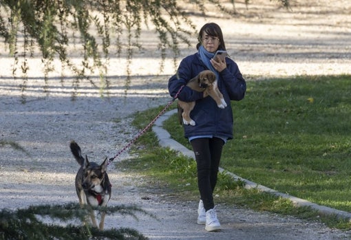 Olivia todavía es muy pequeña para que pueda salir a la calle así que Aitana la lleva en brazos