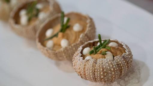 Pastel de erizos con cítricos e hierba del rocío