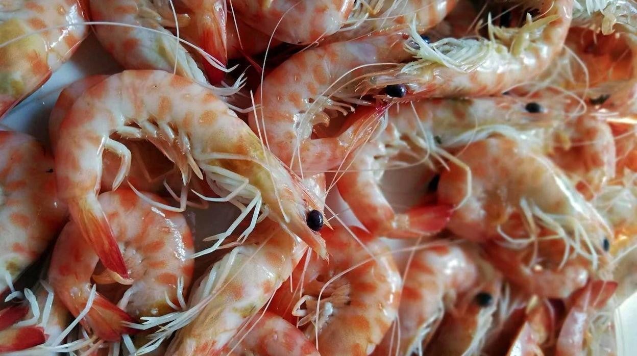 El langostino de Chiclana ya tiene su propia marca