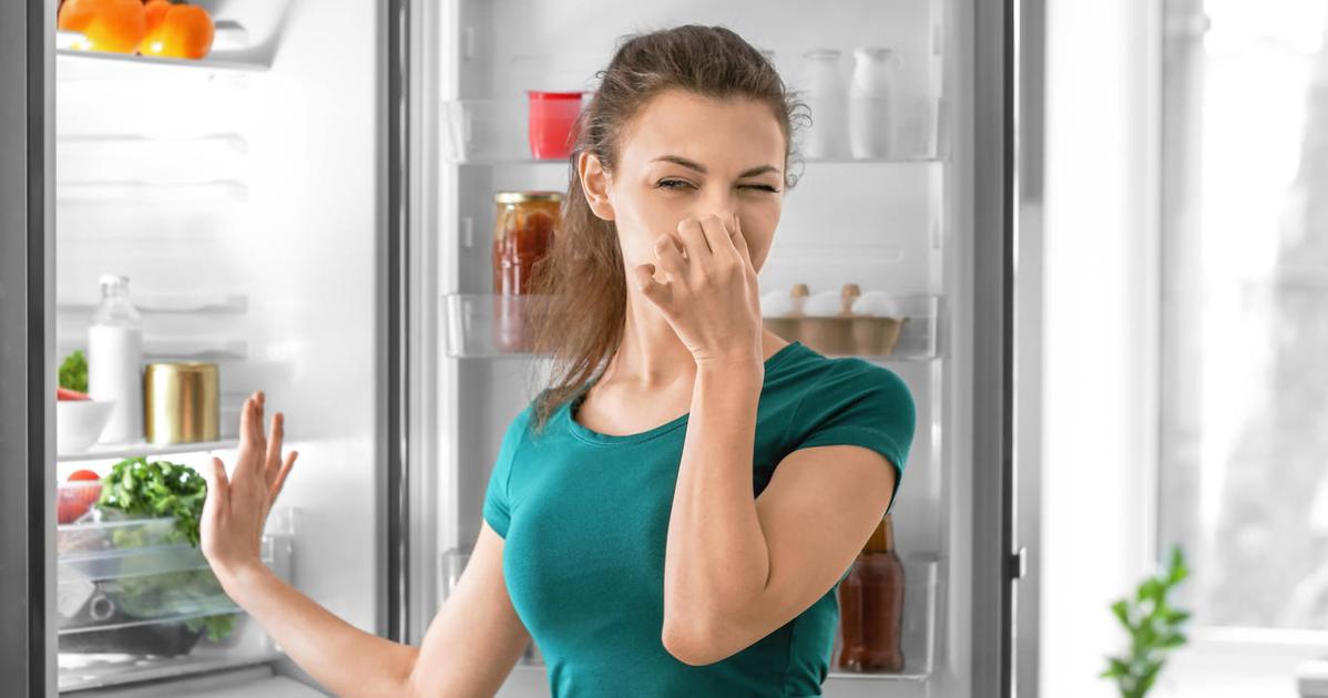 Por qué deberías meter un papel higienico en tu refrigeradora?, Trucos  caseros, Respuestas