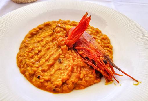 Arroz cremoso con carabinero