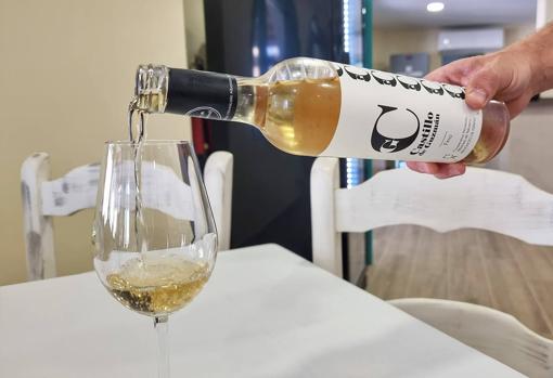 El Fino de Castillo de Guzmán, uno de sus vinos