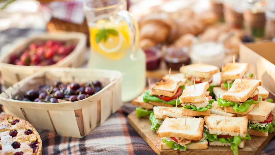 Bolsa para llevar la comida PicNic