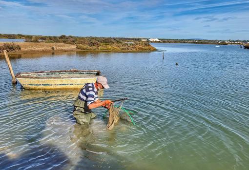 Pepe, el pescador, manejando una de las nasas