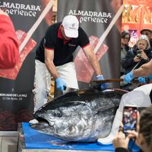 Petaca Chico lleva el arte del ronqueo a su Almadraba Experience de Madrid