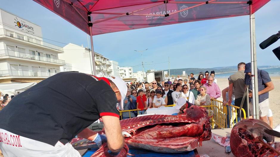 Barbate se corona 'Capital del Atún' gracias a su Ruta y Semana Gastronómica