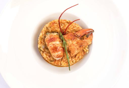 Arroz con bogavante