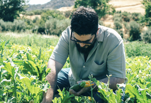 Mesón Sabor Andaluz reabre sus puertas: Una nueva era de alta gastronomía