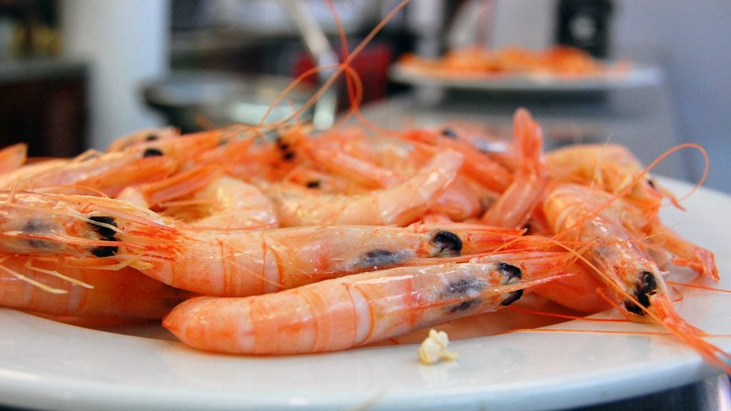 baro-cerveceria-cadiz (1). 