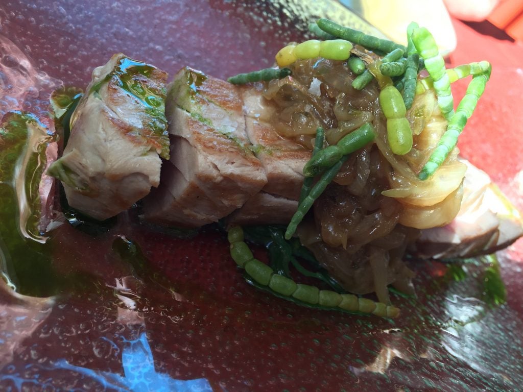 atun-encebolla-aplomo. 