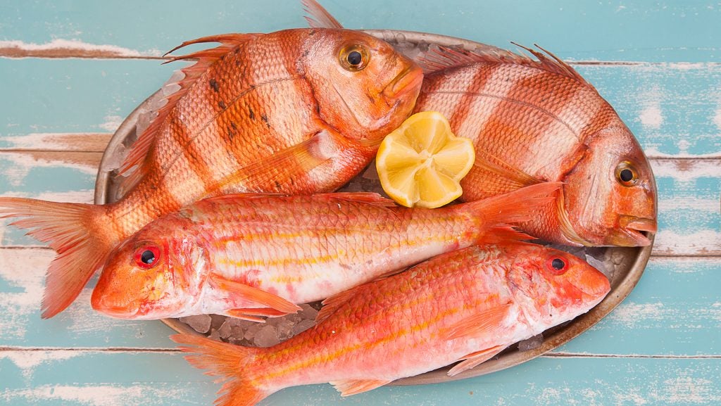 lafontanillaconilurta. El pescado fresco, seña de identidad del restaurante La Fontanilla | Foto: Beate Roggenbau