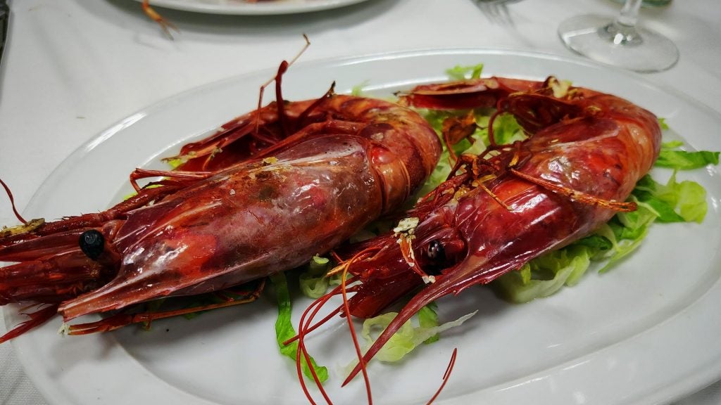 casamanolitocarabineros. Carabineros a la plancha.