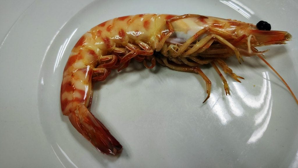 langostino. 