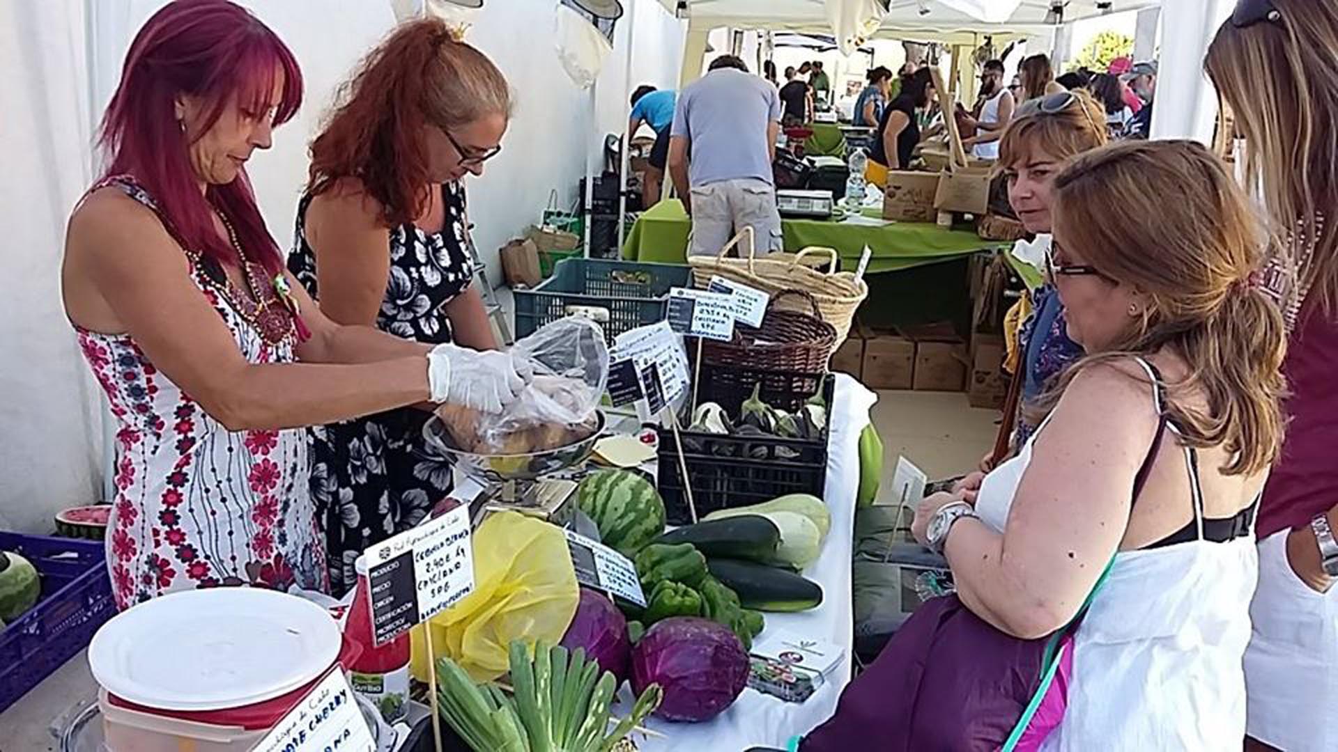 El domingo, el Ecomercado en Los Toruños