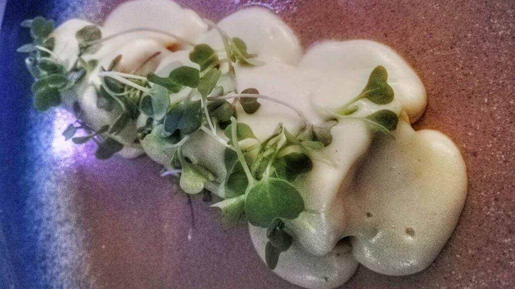 quorumcanelonpularda. 