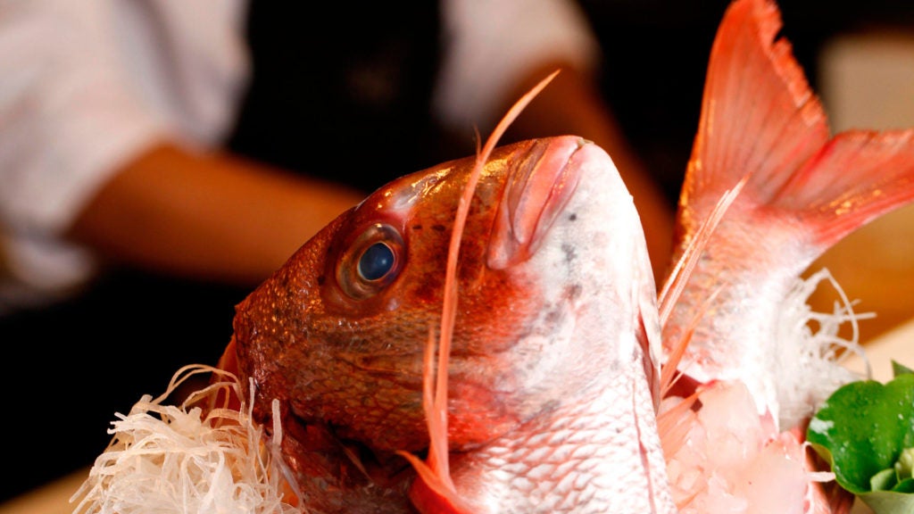 Restaurante Kabuki Raw en Finca Cortesin. 