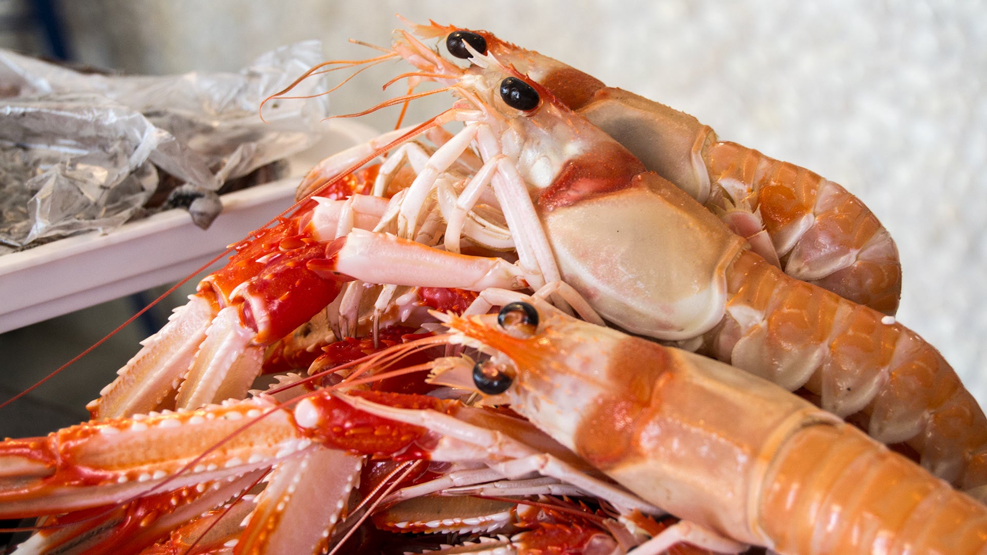 El restaurante Los Marinos José en Fuengirola, de los mejores de Europa